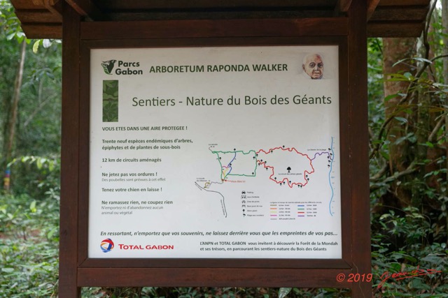 019 ARBORETUM Raponda-Walker 2 Plan Balise 19E5M3IMG_190413139636_DxOwtmk 150k.jpg