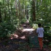 043 ARBORETUM Raponda-Walker 2 Sentier 19E5M3IMG_190413139729_DxOwtmk 150k.jpg