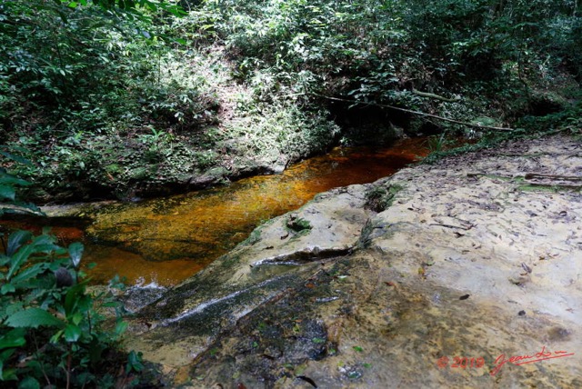 046 ARBORETUM Raponda-Walker 2 la Cascade 19E5M3IMG_190413139753_DxOwtmk 150k.jpg