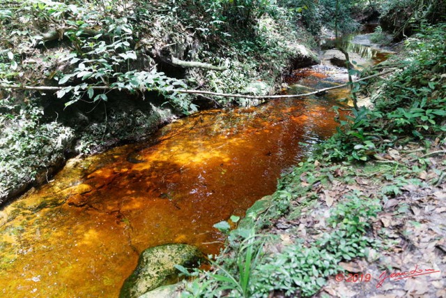 047 ARBORETUM Raponda-Walker 2 la Cascade 19E5M3IMG_190413139754_DxOwtmk 150k.jpg