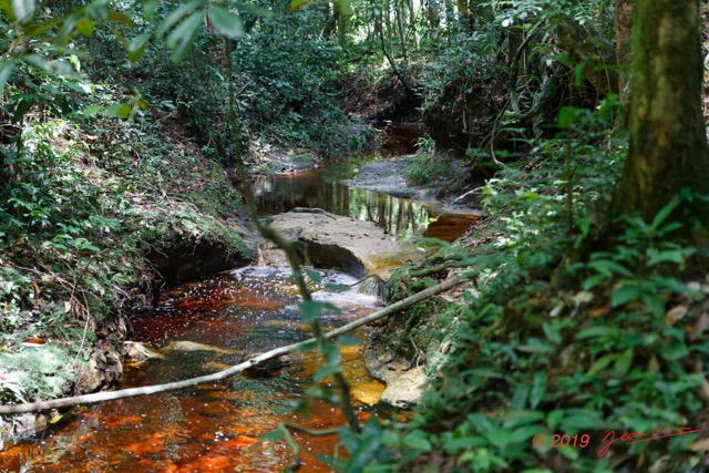 048 ARBORETUM Raponda-Walker 2 la Cascade 19E5M3IMG_190413139755_DxOwtmk 150k.jpg