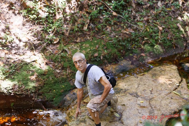 058 ARBORETUM Raponda-Walker 2 la Cascade et JLA 19E5M3IMG_190413139773_DxOwtmk 150k.jpg