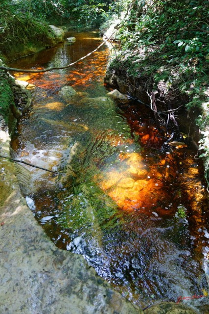 060 ARBORETUM Raponda-Walker 2 la Cascade 19E5M3IMG_190413139775_DxOwtmk 150k.jpg