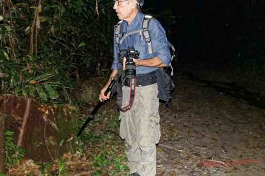 ARBORETUM Raponda-Walker 5 Sentier de Nuit Observations par JLA 19RX106DSC_1911021000265_DxOwtmk 50k-Web