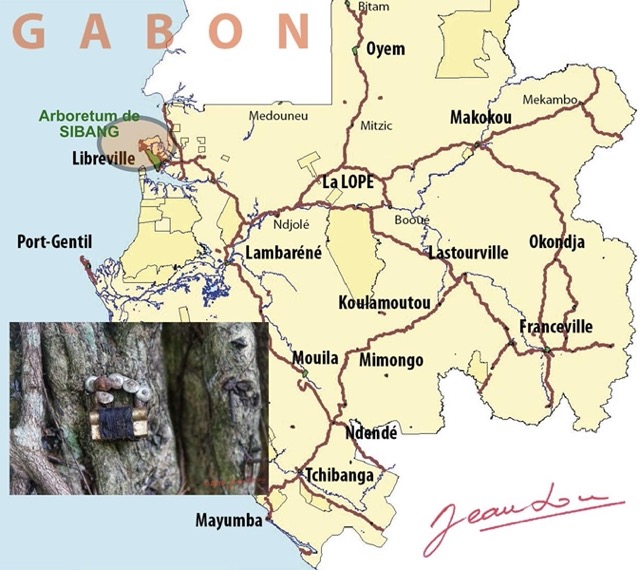 001 Carte GABON Arboretum de SIBANG AT 199k.jpg