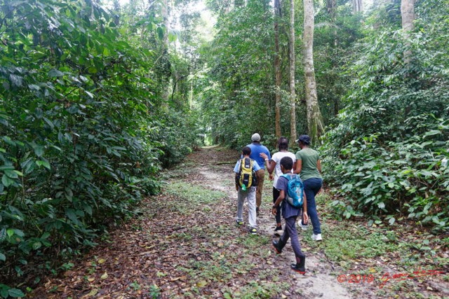007 ARBORETUM de SIBANG 2 Sentier et Groupe de Visite 19E5M3IMG_191026153137_DxOwtmk 150k.jpg