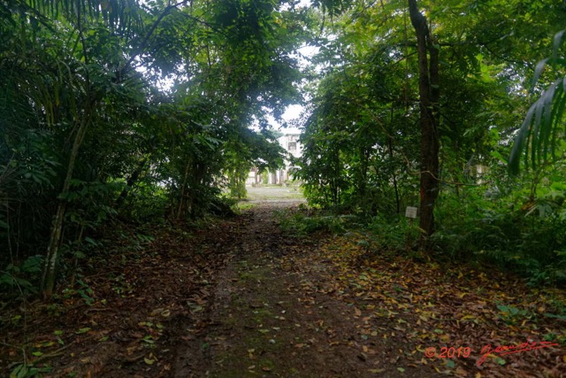 076 ARBORETUM de SIBANG 2 vers la Sortie 19E5M3IMG_191026153271_DxOwtmk 150k.jpg
