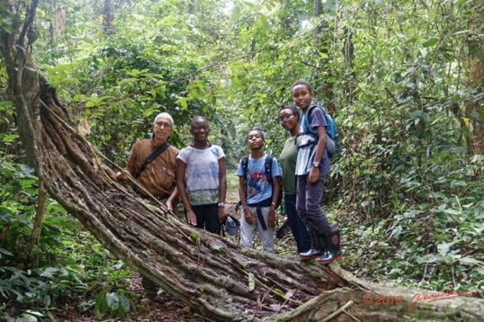 ARBORETUM de SIBANG 2 la Foret Liane Geante Entada gigas et JLA en Famille 19E5M3IMG_191026153179_DxOwtmk 90k-Web