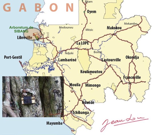 Carte-GABON-Arboretum-de-SIBANG-AT-Web