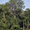 010 Ogooue Berge avec Foret 8EIMG_16376WTMK.JPG
