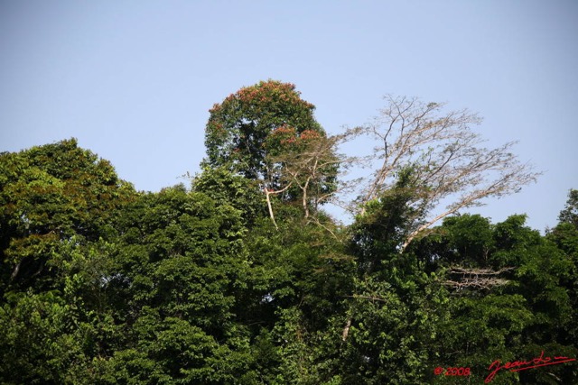 015 Ogooue Berge avec Foret 8EIMG_16378WTMK.JPG