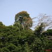 015 Ogooue Berge avec Foret 8EIMG_16378WTMK.JPG