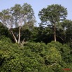 016 Ogooue Berge avec Foret 8EIMG_16381WTMK.JPG