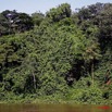 018 Ogooue Berge avec Foret 8EIMG_16393WTMK.JPG