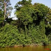 020 Ogooue Berge avec Foret 8EIMG_16433WTMK.JPG