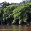 023 Ogooue Berge avec Foret 8EIMG_16444WTMK.JPG