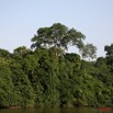 026 Ogooue Berge avec Foret 8EIMG_16469WTMK.JPG