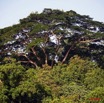 031 Ogooue Berge avec Foret 8EIMG_16464WTMK.JPG