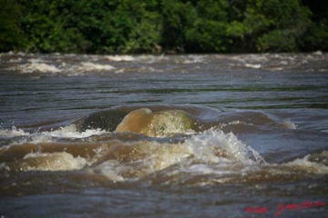 Ogooue-Chutes-de-LEBOKA-8EIMG_16349WTMK-web