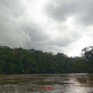 078 DJOUMOU 09 Descente la Riviere Mpassa Berges et Orage 18RX104DSC_1804281004598_DxOwtmk.jpg