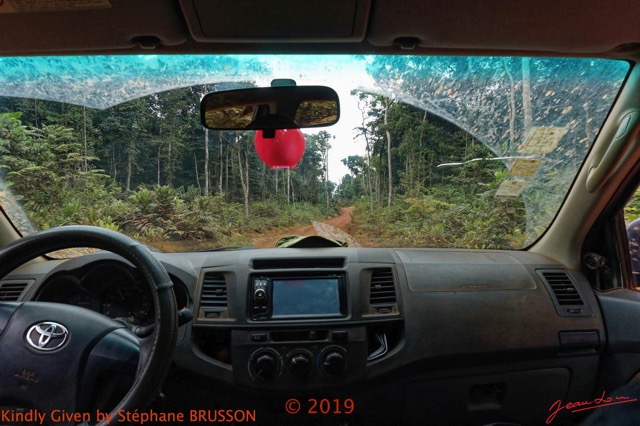 087 DjiDji 1 Winerparc J2 Piste Forestiere et Foret en Voiture SB 18a7SteBruDSC_1809221004648_DxOwtmk 150k.jpg