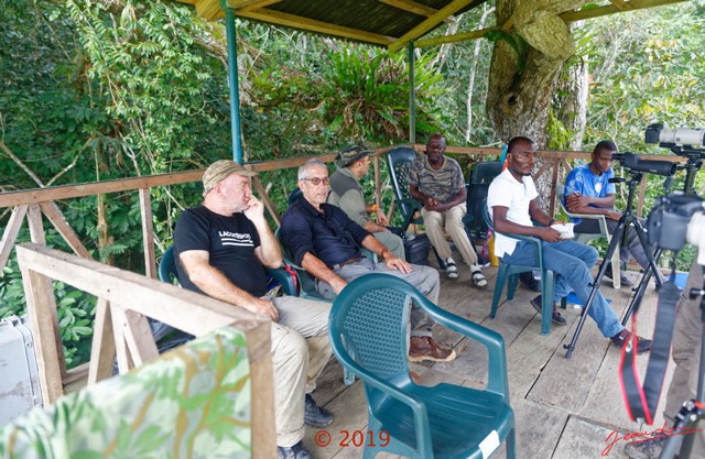 086 DJIDJI 1 Bai de LANGOUE 3 J7 la Plateforme avec Equipes Attente Observations 18E5K3IMG_180929138903_DxOwtmk 150k.jpg