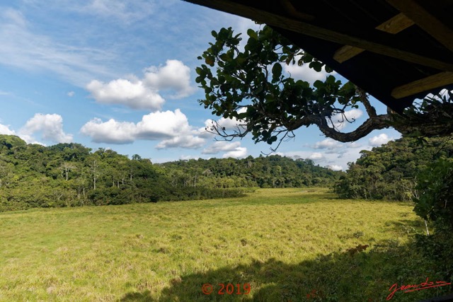 107 DJIDJI 1 Bai de LANGOUE 3 J7 la Plateforme Vue sur la Savane Droite 18E5K3IMG_180929138965_DxOwtmk 150k.jpg