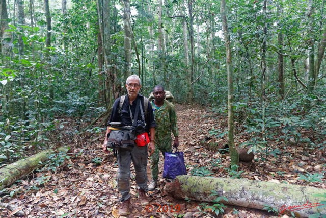 156 DJIDJI 1 Bai de LANGOUE 3 J8 la Marche de Retour en Foret 18E5K3IMG_180929139012_DxOwtmk 150k.jpg