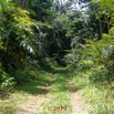 191 DJIDJI 1 Bai de LANGOUE 3 J8 la Piste vers le Camp Dilo 18E5K3IMG_180929139046_DxOwtmk 150k.jpg