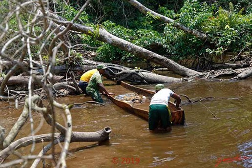 DJIDJI-1-Descente-J3-Pirogue-Navigation-Blocage-Total-Riviere-par-Arbre-Mort-12-Passage-sous-la-Fourche-18E5K3IMG_180929138209_DxOwtmk-250k-Web