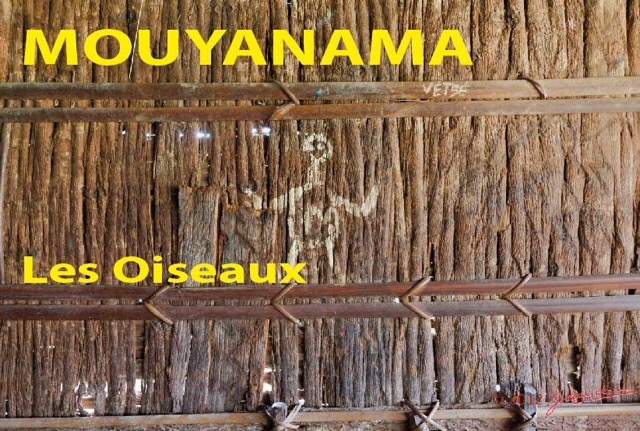 016 Titre Photos Mouyanama les Oiseaux-01.jpg