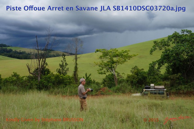 021 Piste Offoue Arret en Savane JLA SB1410DSC03720awtmk.JPG