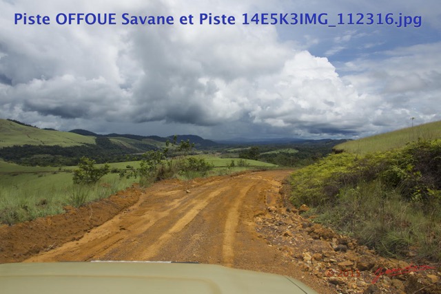 048 Piste OFFOUE Savane et Piste 14E5K3IMG_112316wtmk.JPG