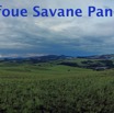 061 Piste Offoue Savane Pano 3awtmk.JPG