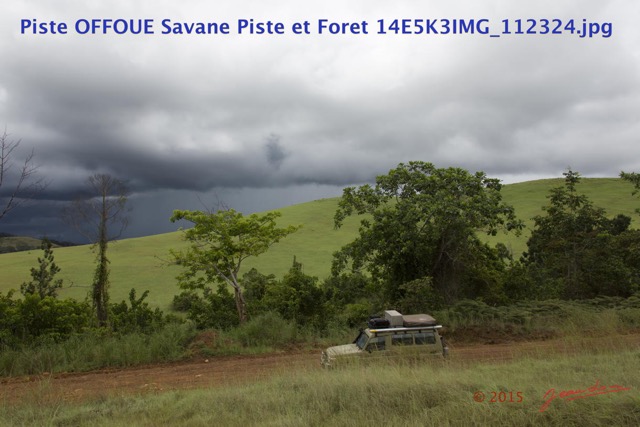 062 Piste OFFOUE Savane Piste et Foret 14E5K3IMG_112324wtmk.JPG