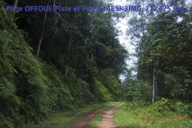 066 Piste OFFOUE Piste et Foret 14E5K3IMG_112425wtmk.JPG