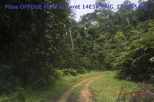 093 Piste OFFOUE Piste et Foret 14E5K3IMG_112465wtmk.JPG