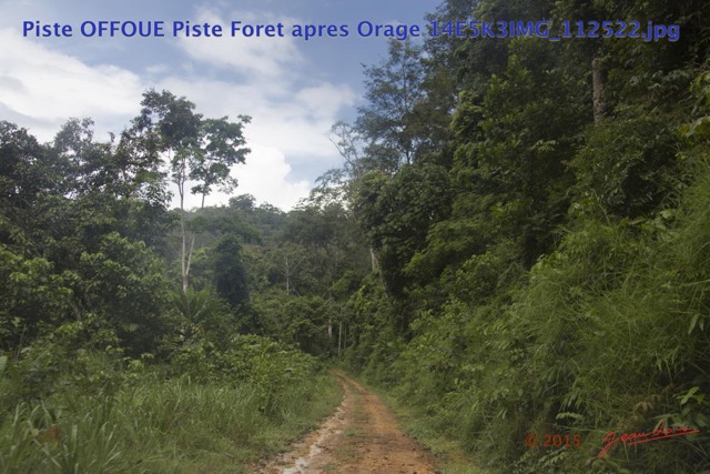 104 Piste OFFOUE Piste Foret apres Orage 14E5K3IMG_112522wtmk.JPG