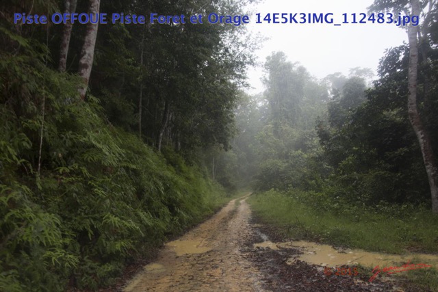 113 Piste OFFOUE Piste Foret et Orage 14E5K3IMG_112483wtmk.JPG