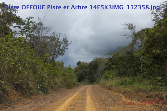 133 Piste OFFOUE Piste et Arbre 14E5K3IMG_112358wtmk.JPG