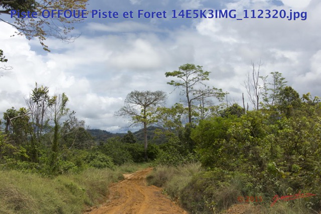 134 Piste OFFOUE Piste et Foret 14E5K3IMG_112320wtmk.JPG