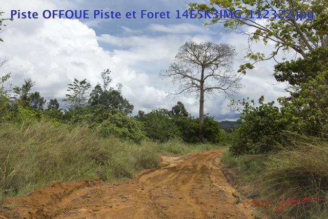 135 Piste OFFOUE Piste et Foret 14E5K3IMG_112322wtmk.JPG