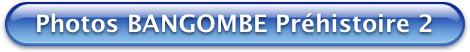 Bouton Bleu Photos Bangombe-Prehistoire2 470x52