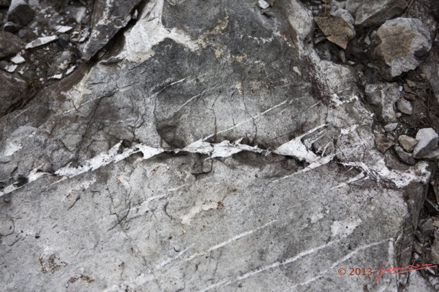036 MIKAKA Fissures de Quartz en Echelon 13E5K3IMG_94514wtmk.jpg