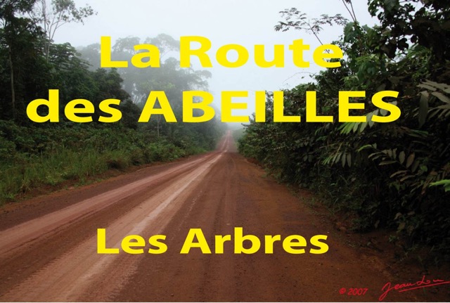 009 Titre Photos Route Abeilles les Arbres.jpg