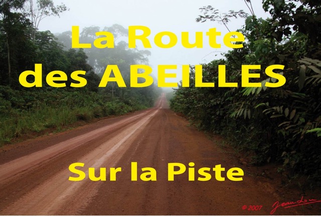 026 Titre Photos Route Abeilles Piste 2.jpg