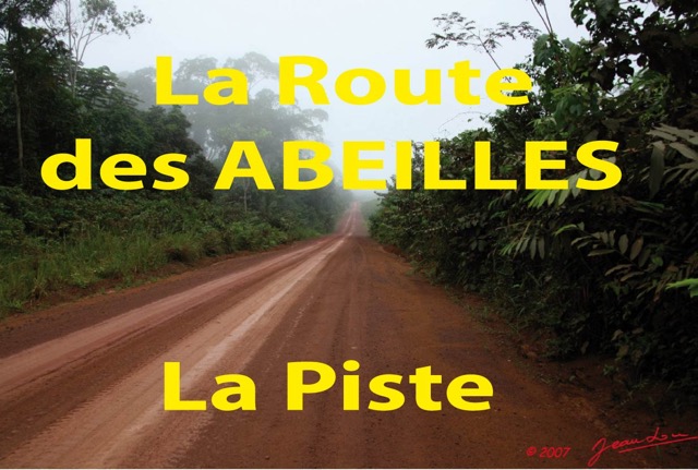 095 Titre Photos Route Abeilles Piste.jpg