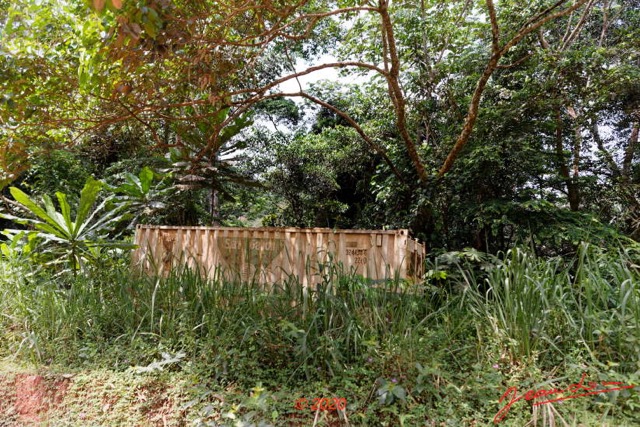 156 Piste des Abeilles 04 Mikouyi - La Lope Epave de Container 20E5M3IMG_200121153668_DxOwtmk 150k.jpg