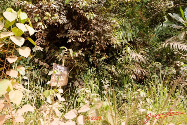 204 Piste des Abeilles 04 Mikouyi - La Lope Village de Mikongo Panneau 20E5M3IMG_200121153861_DxOwtmk 150k.jpg