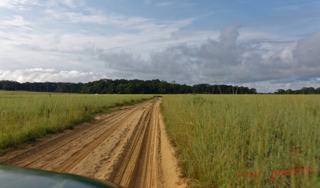 008 LOANGO 3 la Riviere REMBO NGOVE Piste et Savane vers Loango 16E5K3IMG_122032_DxOawtmk.jpg